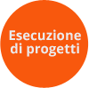 project execution