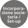 incorporation set up