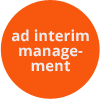 ad interim management