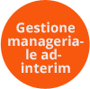ad interim management